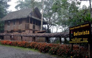 Read more about the article Bellavista Cloud Forest – a nature lovers and birdwatchers dream
