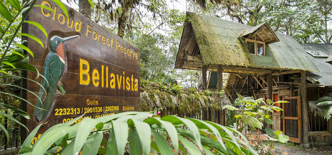 Read more about the article Bellavista Cloud Forest Lodge