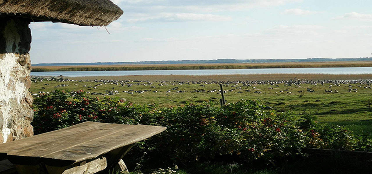 Read more about the article Tuulingu Guesthouse