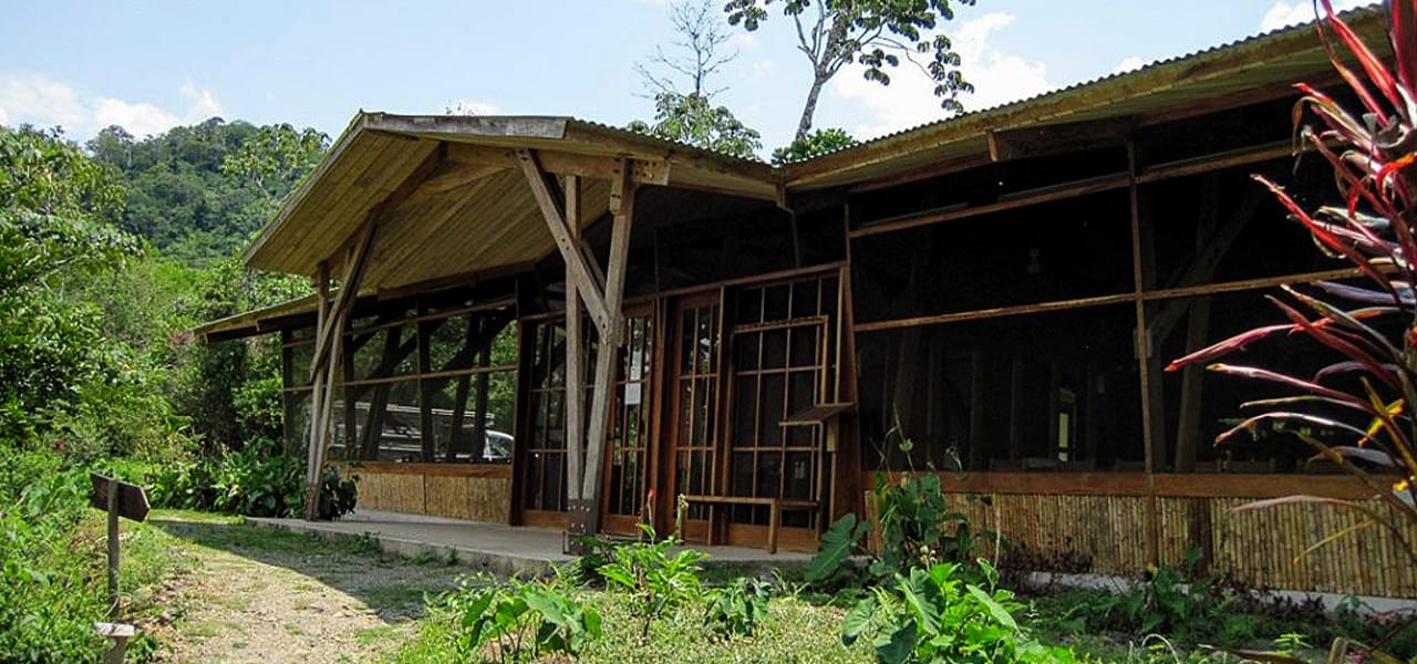 Read more about the article Manu Biological Station and BioLodge