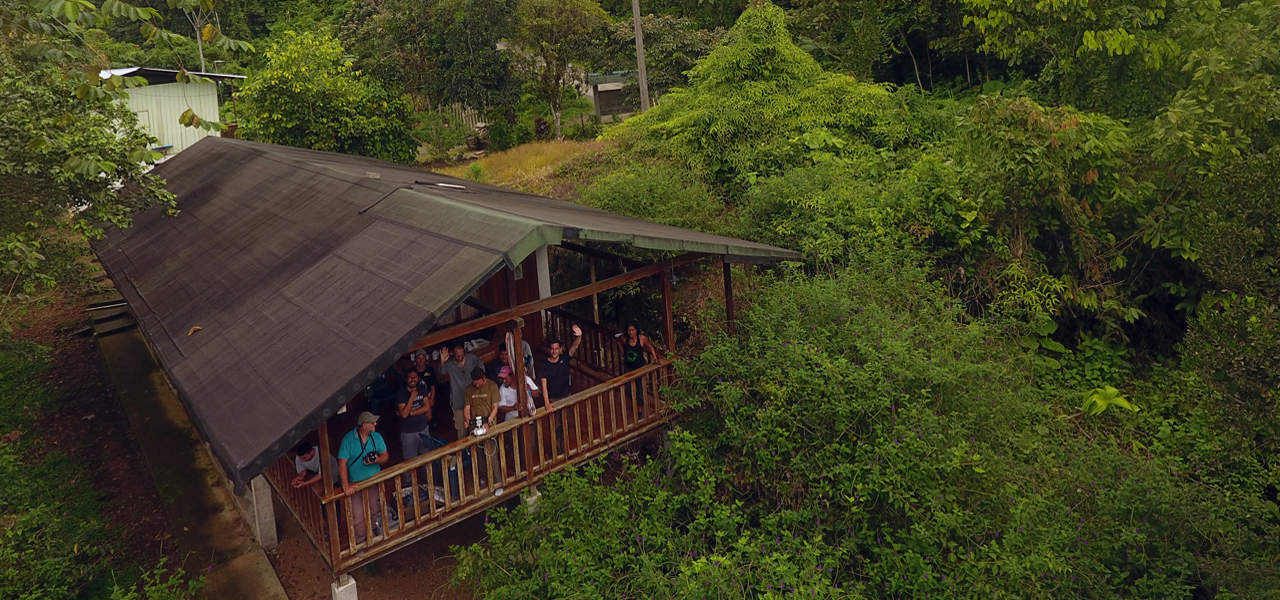 Read more about the article Umbrellabird Lodge