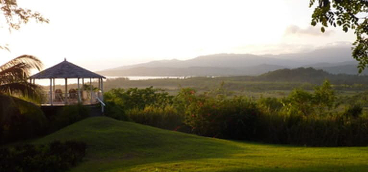 Read more about the article Green Castle Estate