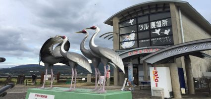Arasaki Crane Centre