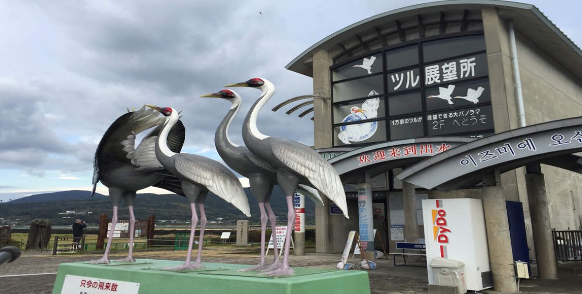 Arasaki Crane Centre