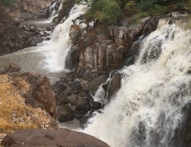 Awash Falls Lodge view