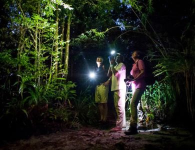 Masoala Night Walk