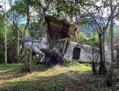 Old plane in the woods