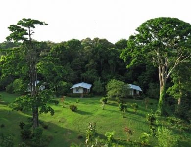 cabanas-at-tranquillo-bay-eco-adventure-lodge-l