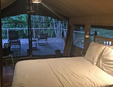 canopy-camp-5-l