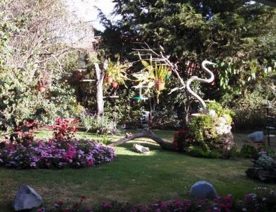 Gardens & clean well-maintained birdfeeders the main attraction