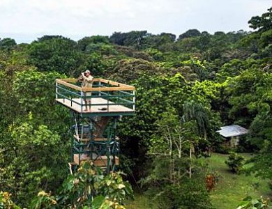 observation-tower-is-great-for-watching-parrots-and-other-birds-l