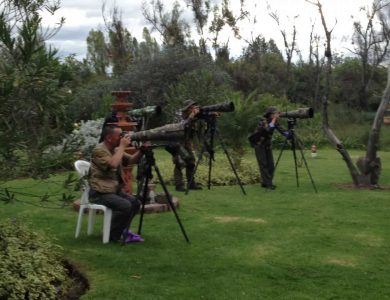 Our groups of Photographers