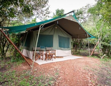 Entim Camp - Click here for more info