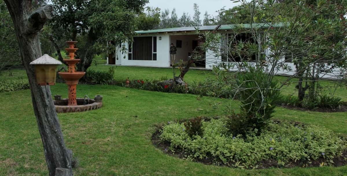 Puembo Birding Garden - Click here for more info