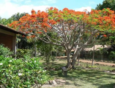 rock_view_lodge_gardens