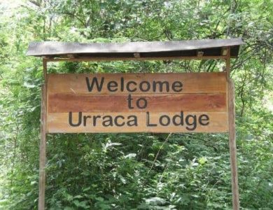 Urraca - sign