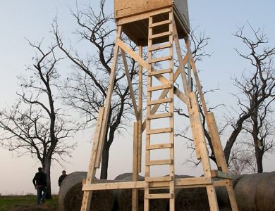 Tower Hide for Red-footed Falcons