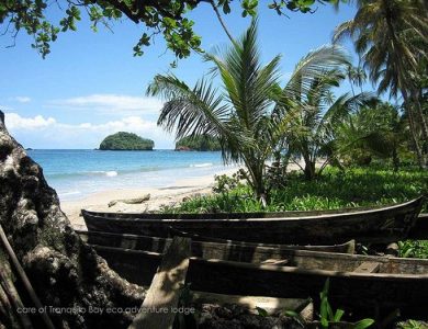 view-from-beach-l