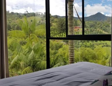 Araucana Lodge - View from one of the rooms
